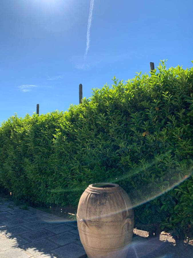 La Casa Del Sole Bed & Breakfast Vico Equense Exterior photo
