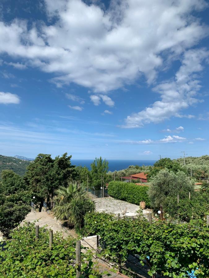 La Casa Del Sole Bed & Breakfast Vico Equense Exterior photo