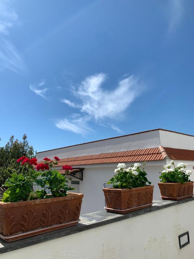 La Casa Del Sole Bed & Breakfast Vico Equense Exterior photo