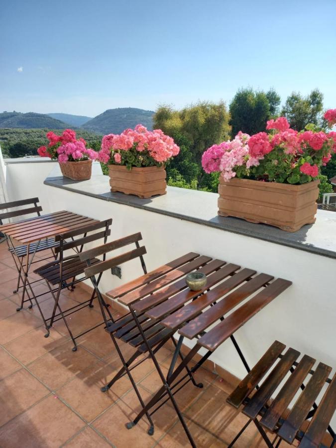 La Casa Del Sole Bed & Breakfast Vico Equense Exterior photo