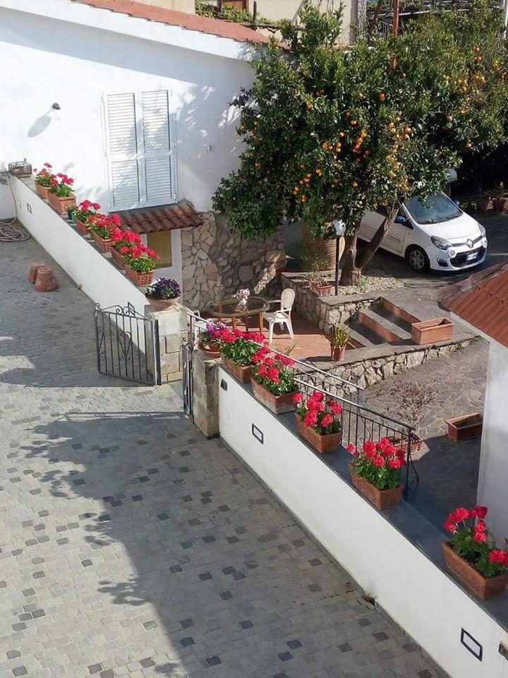 La Casa Del Sole Bed & Breakfast Vico Equense Exterior photo